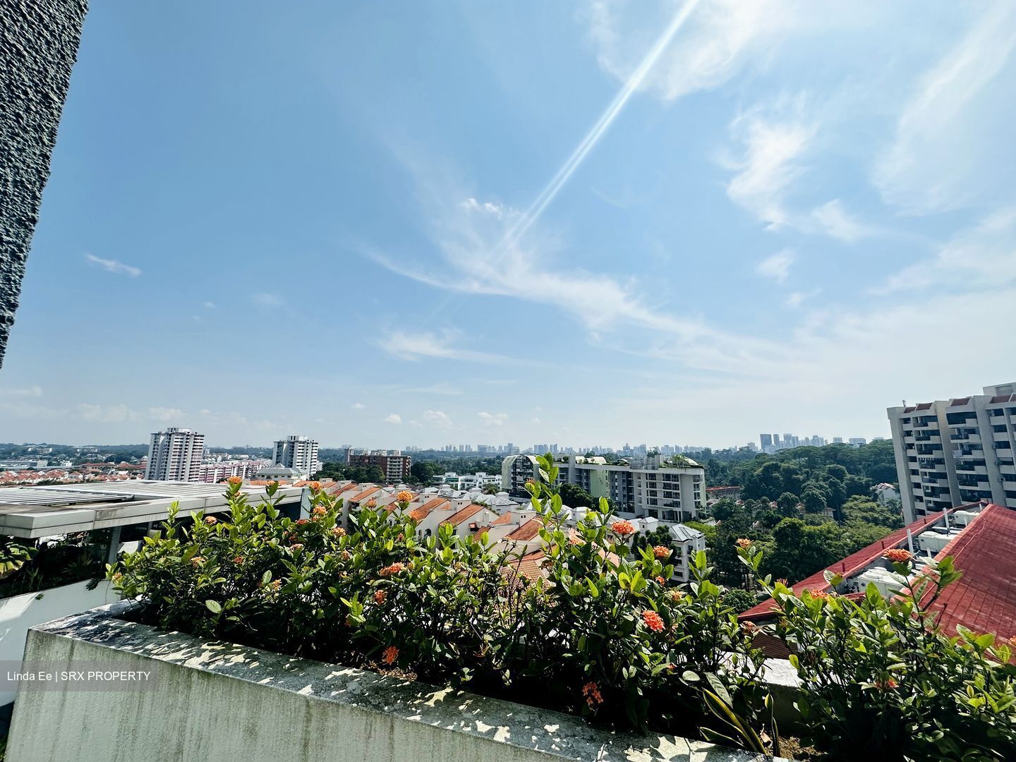 The Levelz (D10), Condominium #446879381